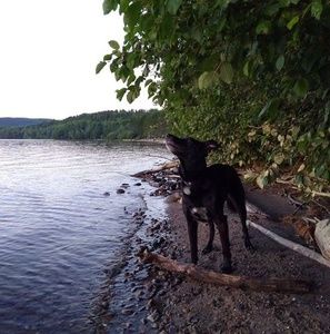 Meet your Posher, Steve